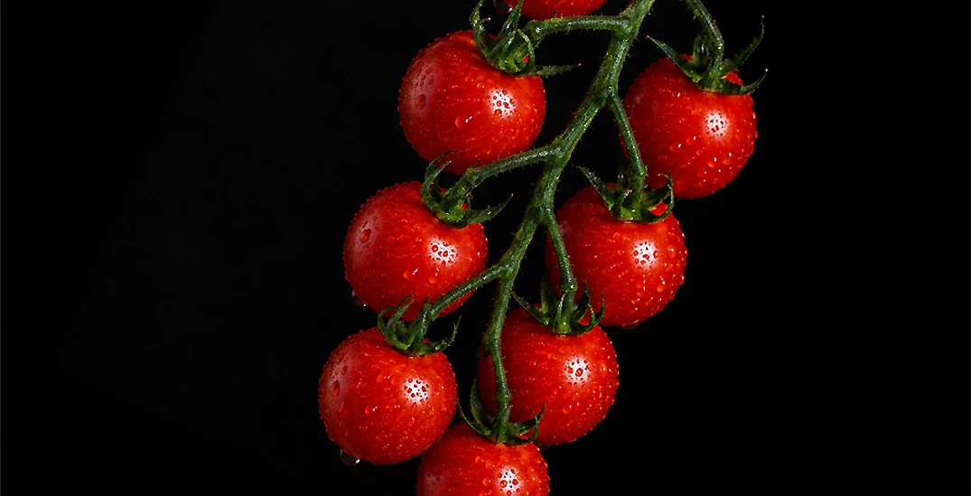 Cherry tomato product preview